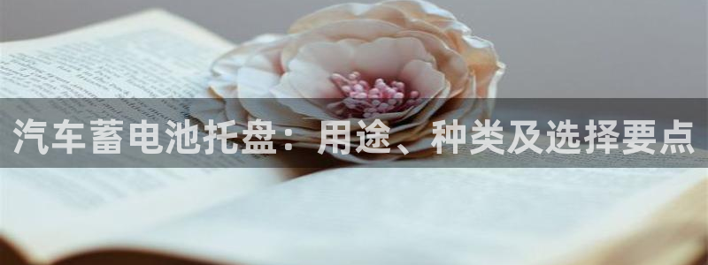优发国际官方下载app