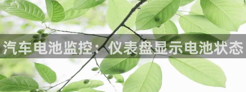 优发国际网官网17w8：汽车电池监控：仪表盘显示电池状态