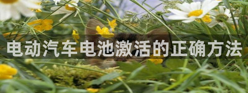 优发国际bob