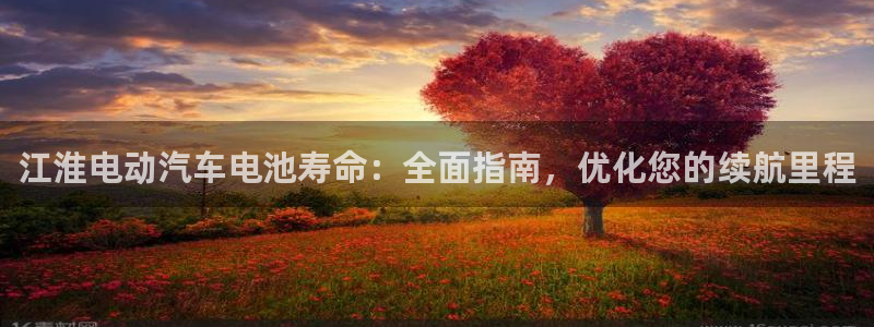 优发国际网站多少