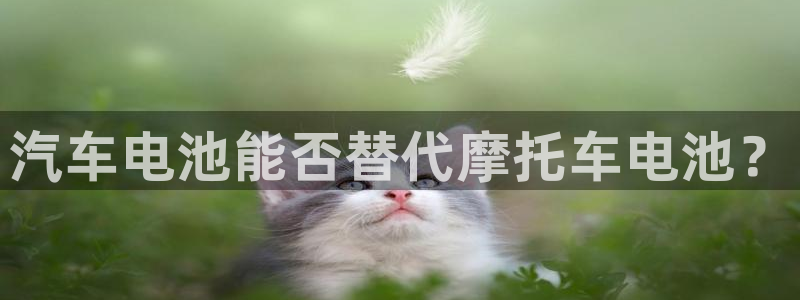 优发国际集团股份有限公司