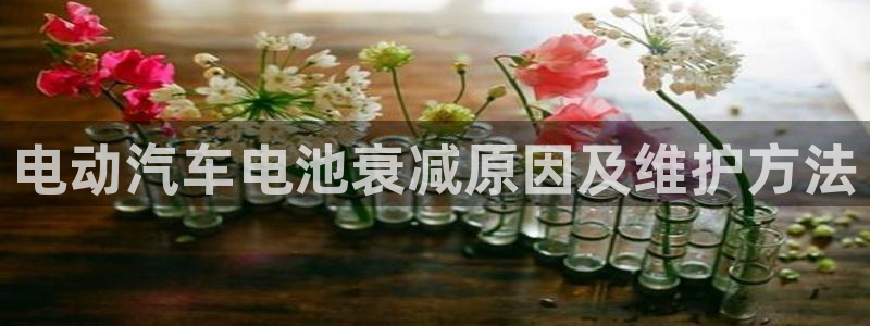 优发国际官网手机版