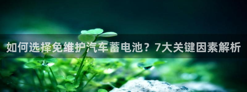 优发国际游戏17