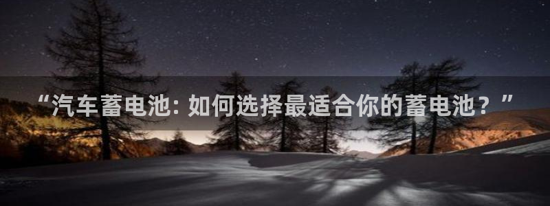 优发国际的网站是：“汽车蓄电池: 如何选择最适合你的蓄电池？”