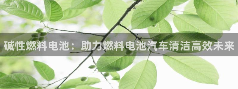 优发国际游戏官网：碱性燃料电池：助力燃料电池汽车清洁高效未来