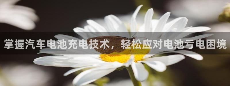 优发国际手机客户端下载安装不了