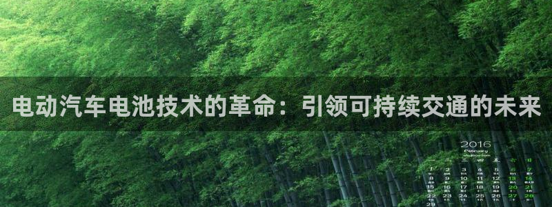 优发国际是大平台吗还是小平