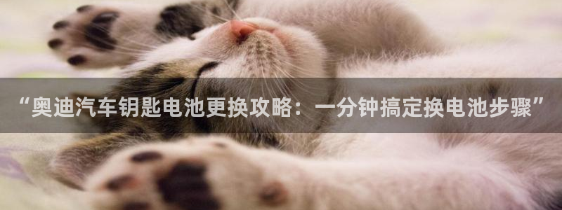 优发国际注册平台是什么：“奥迪汽车钥匙电池更换攻略：一分钟搞定换电池步骤”