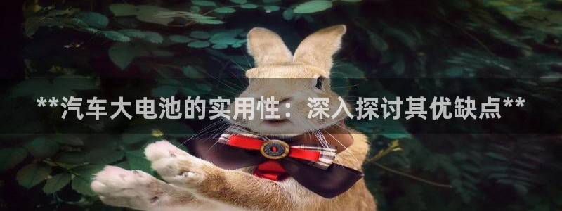 优发国际手机版唯一官网下载：**汽车大电池的实用性：深入探讨其优缺点**