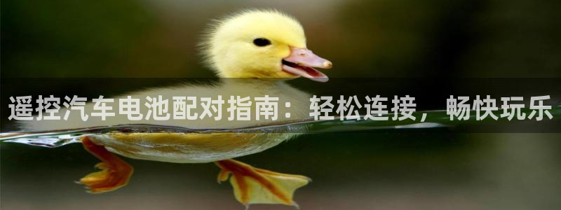 优发国际VIP网址