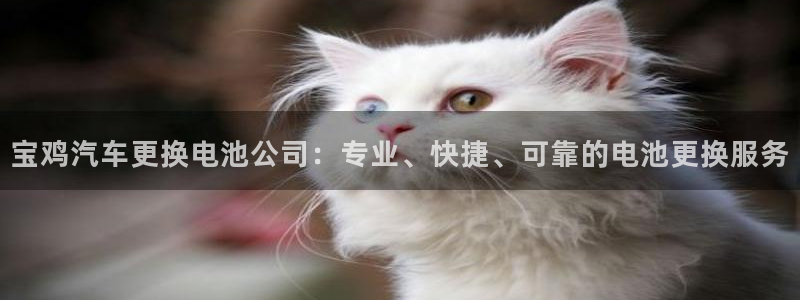优发国际手机登录下载安装苹果：宝鸡汽车更换电池公司：专业、快捷、可靠的电池更换服务