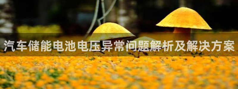 优发国际官网下载app