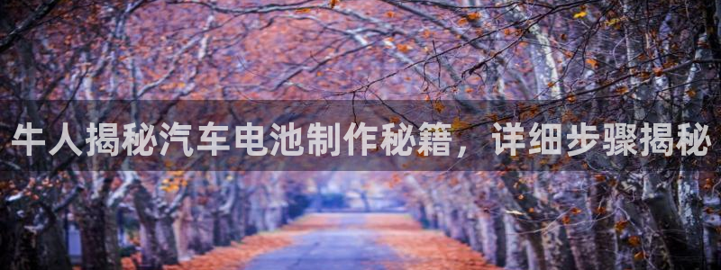 优发国际手机版唯一官网下载：牛人揭秘汽车电池制作秘籍，详细步骤揭秘