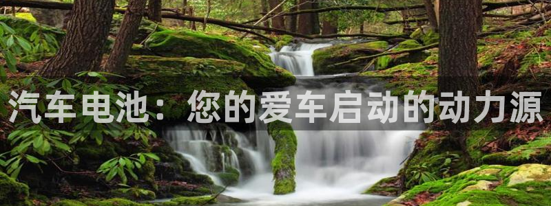 优发国际官网,首页网址：汽车电池：您的爱车启动的动力源