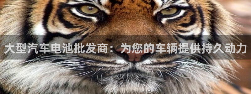 优发国际官网首页入口