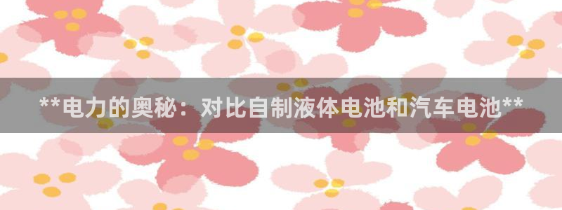 优发国际是不是黑网：**电力的奥秘：对比自制液体电池和汽车电池**