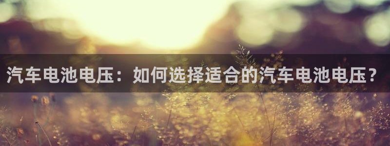 优发国际手机客户端下载官网：汽车电池电压：如何选择适合的汽车电池电压？