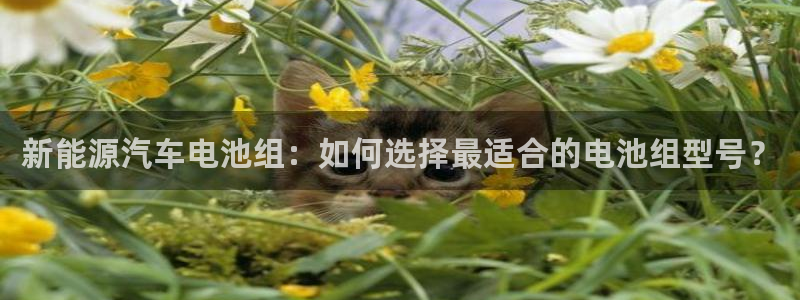 优发国际网官网17w80是什么