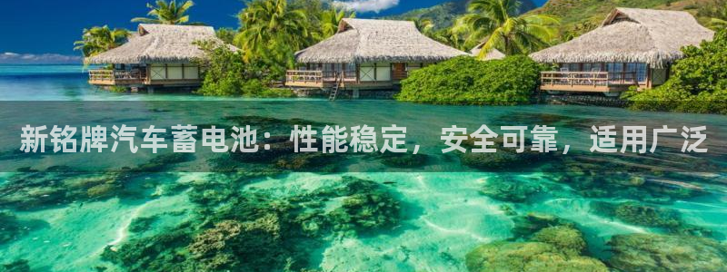 优发国际官方网平台电话