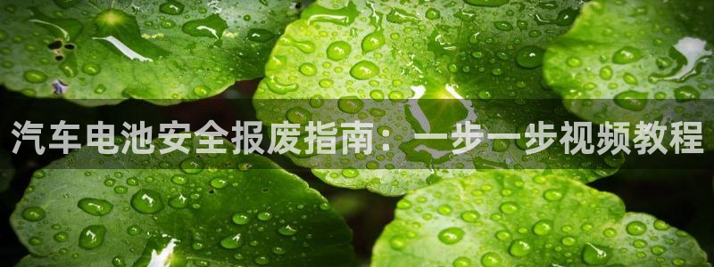 优发国际首页官网：汽车电池安全报废指南：一步一步视频教程