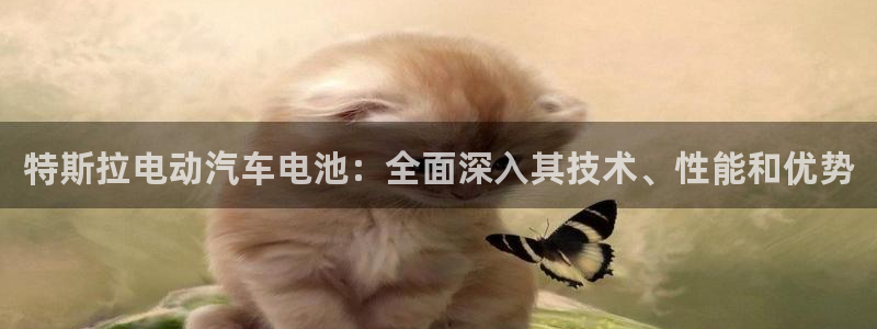 优发国际手机客户端下载安装不了：特斯拉电动汽车电池：全面深入其技术、性能和优势