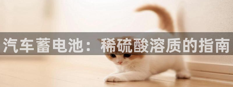 优发国际平台app下载安装