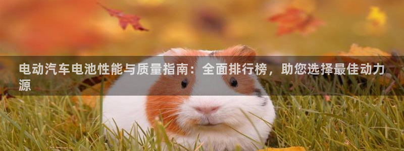 优发国际平台app下载官网