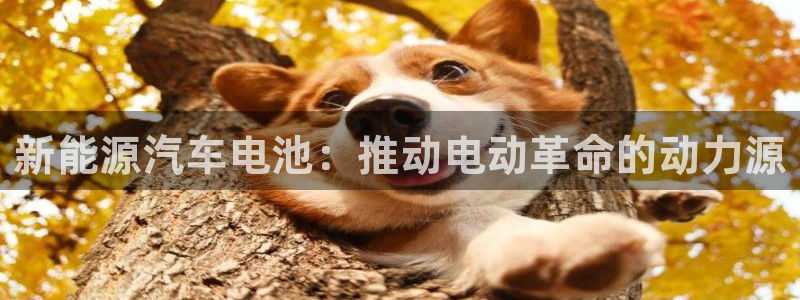 优发国际手机版网站官网：新能源汽车电池：推动电动革命的动力源
