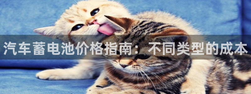 优发国际线上娱官网：汽车蓄电池价格指南：不同类型的成本