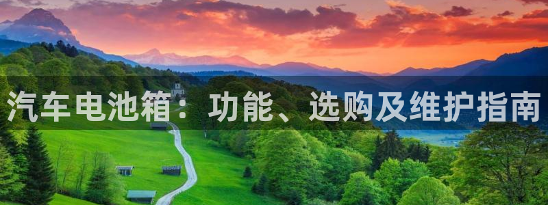优发国际手机app下载安装最新版：汽车电池箱：功能、选购及维护指南