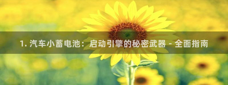 优发国际官网手机版：1. 汽车小蓄电池：启动引擎的秘密武器 - 全面指南
