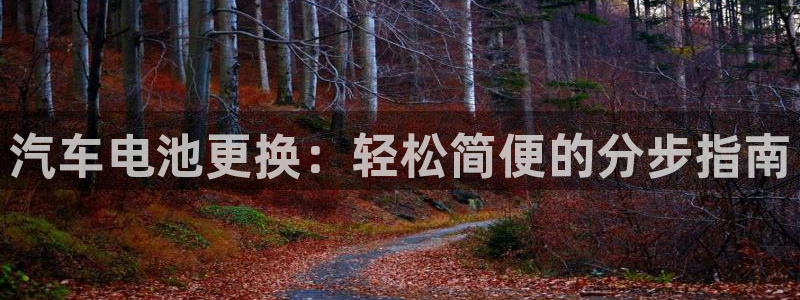 优发国际登录app：汽车电池更换：轻松简便的分步指南