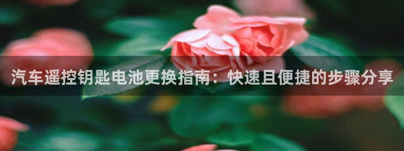 优发娱乐pc版官网：汽车遥控钥匙电池更换