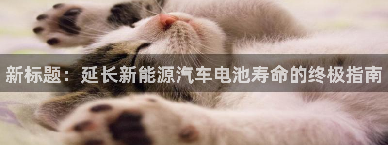 优发国际一首页：新标题：延长新能源汽车电池寿命的终极指南