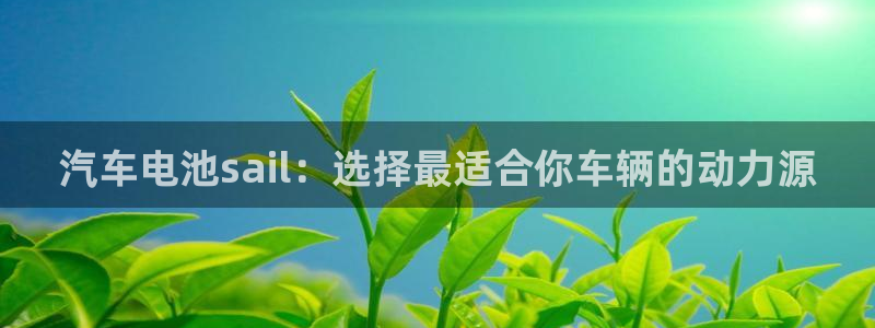 优发国际官方网手机版app：汽车电池sa