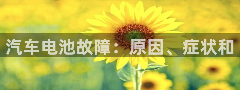 优发国际官网登陆：汽车电池故障：原因、症状和