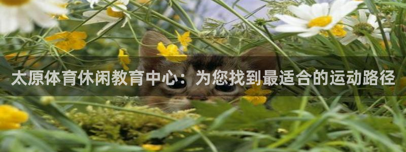vsport体育：太原体育休闲教育中心：为您找到最适合的运动路径