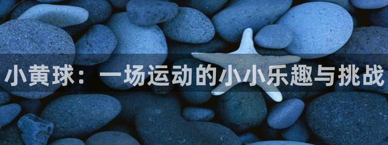 vsport体育：小黄球：一场运动的小小乐趣与挑战
